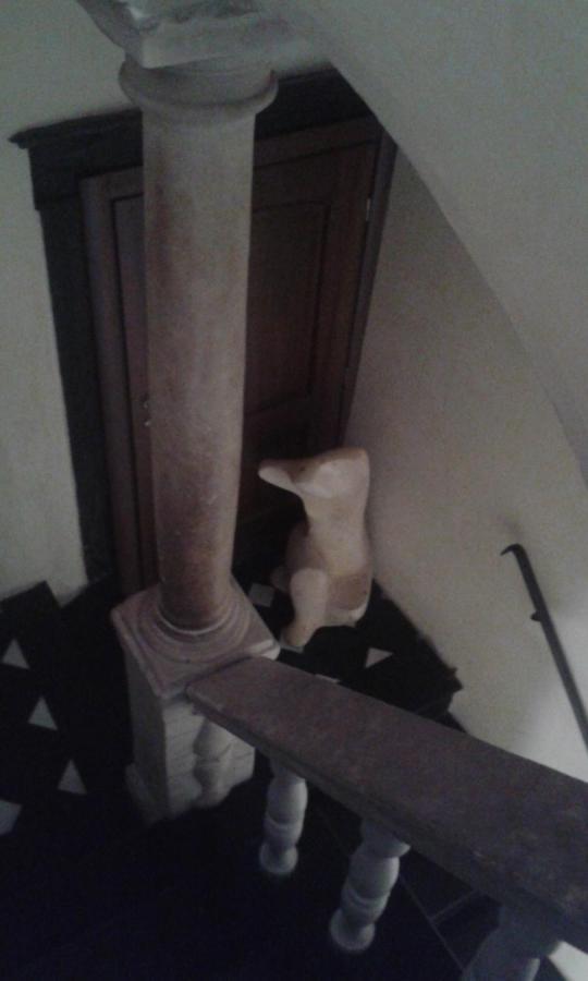 Affittacamere Bed And Breakfast San Lorenzo Genoa Luaran gambar